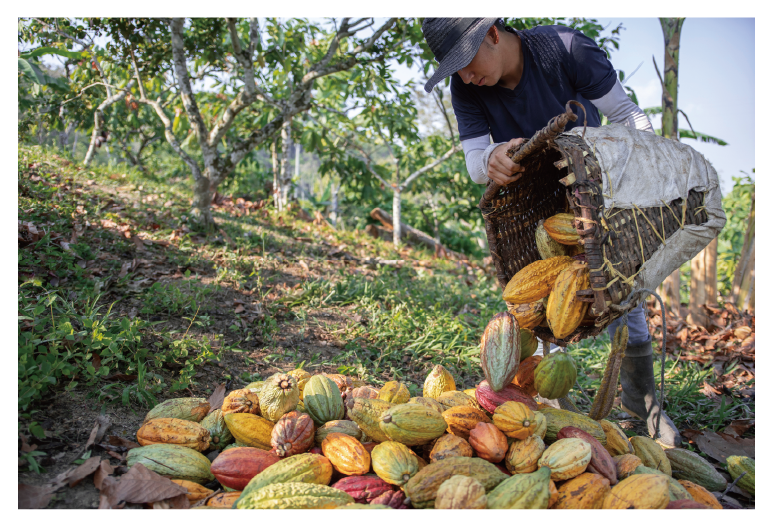 ケトジェニックプロ